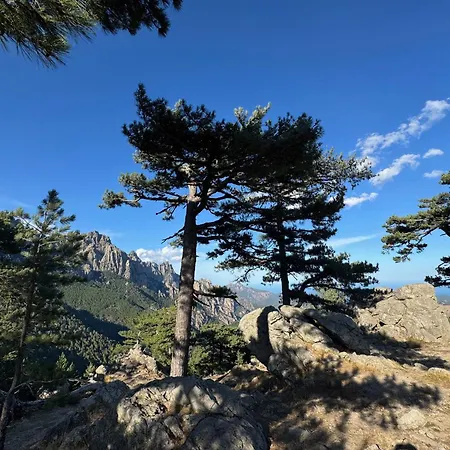 Casa Nostra Recente Climatisee - Piscine Chauffee Villa Lecci