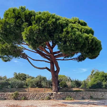 Casa Nostra Recente Climatisee - Piscine Chauffee *