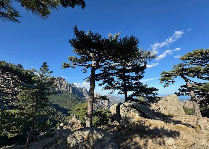 Casa Nostra Récente Climatisée - Piscine Chauffée Villa Lecci