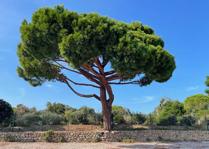 Casa Nostra Recente Climatisee - Piscine Chauffee *